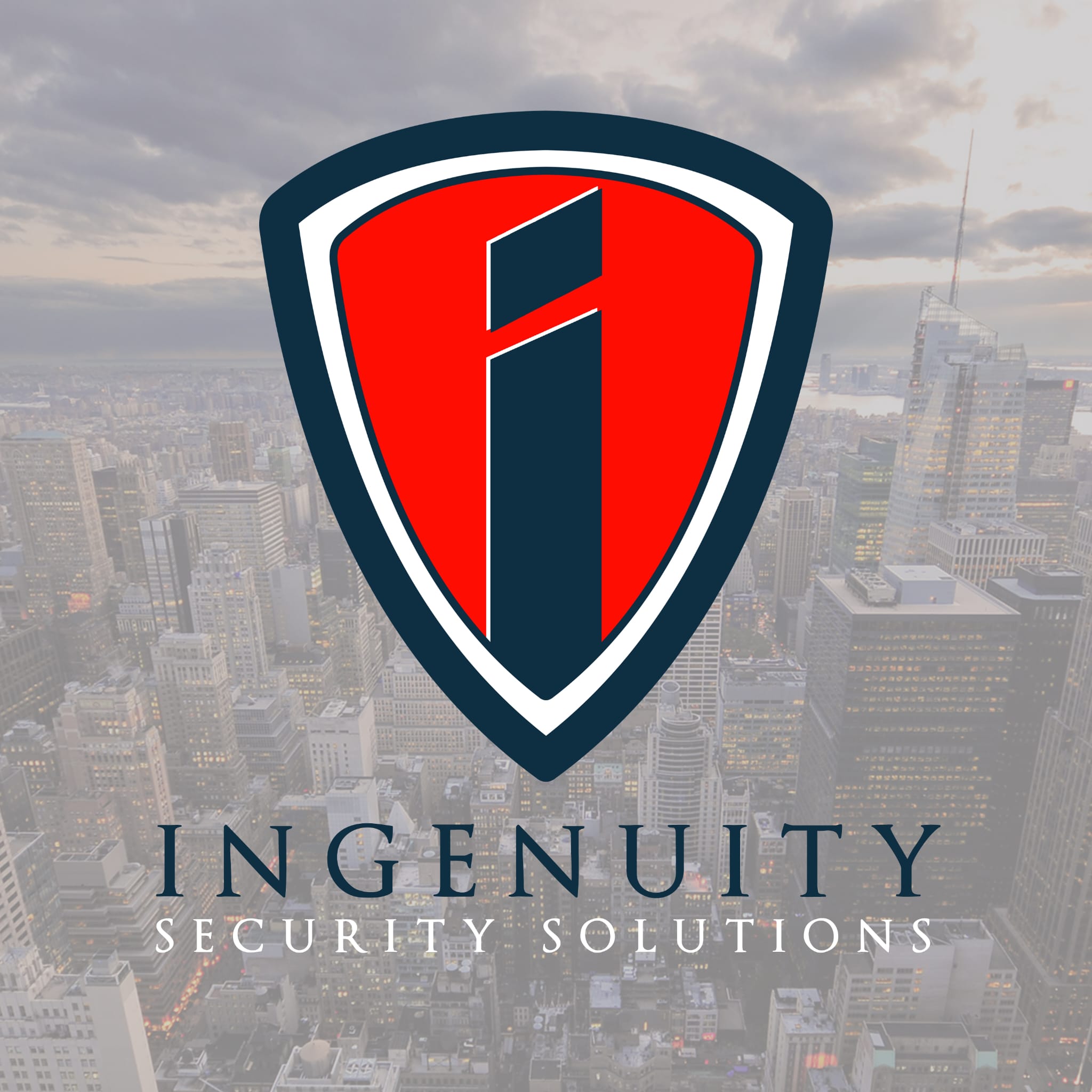Ingenuity Security Solutions Professional